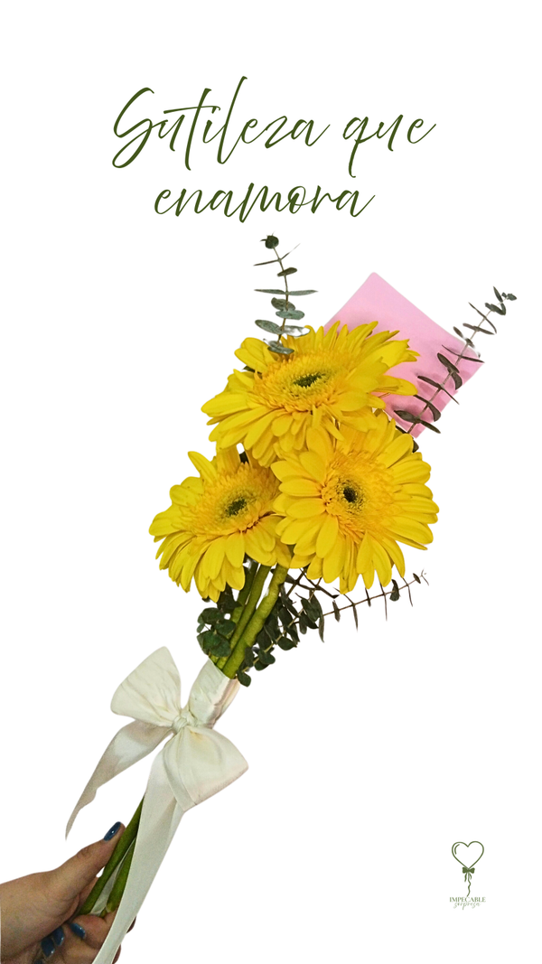 Presenta, Pasado y Futuro