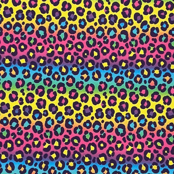 Leopard Print Colourful