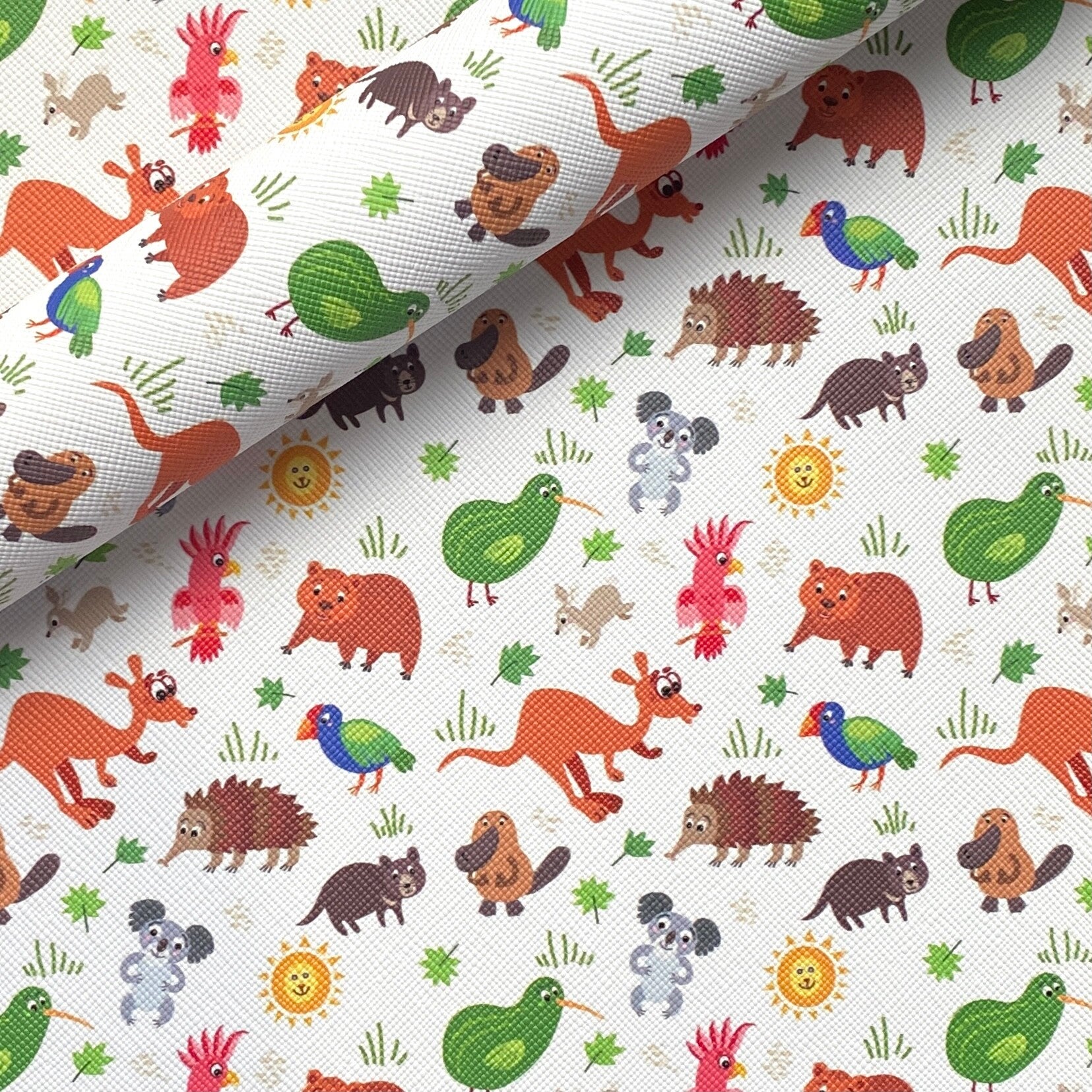 Australian Animals on White