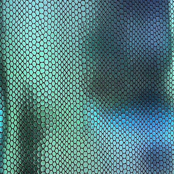 Holographic Snake Skin