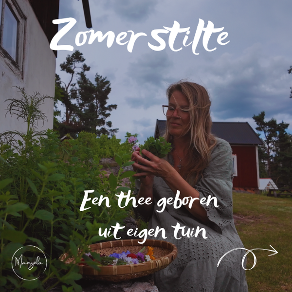 🌼 ZOMERSTILTE pure kruidenthee uit eigen tuin