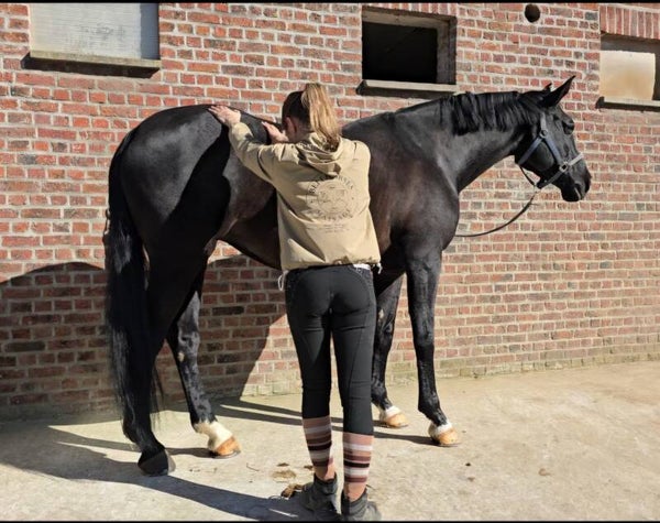 Massage sportif (Min 1h)