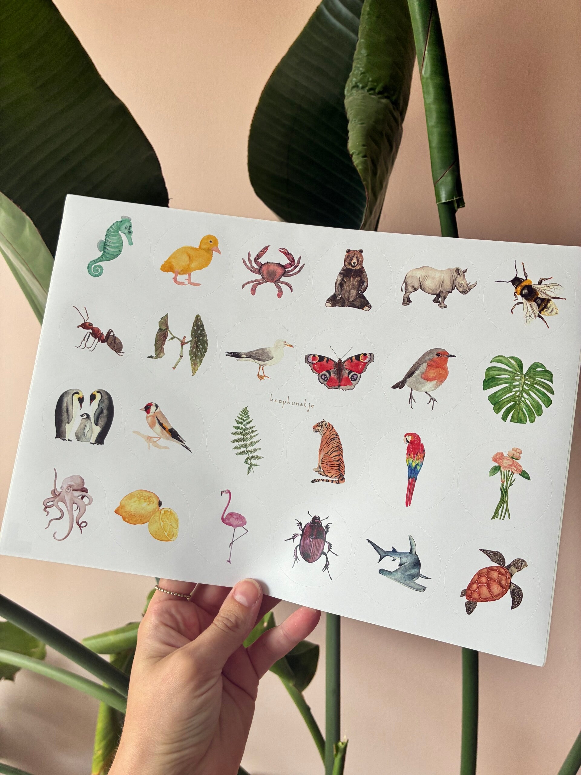 Sluitstickers 💌