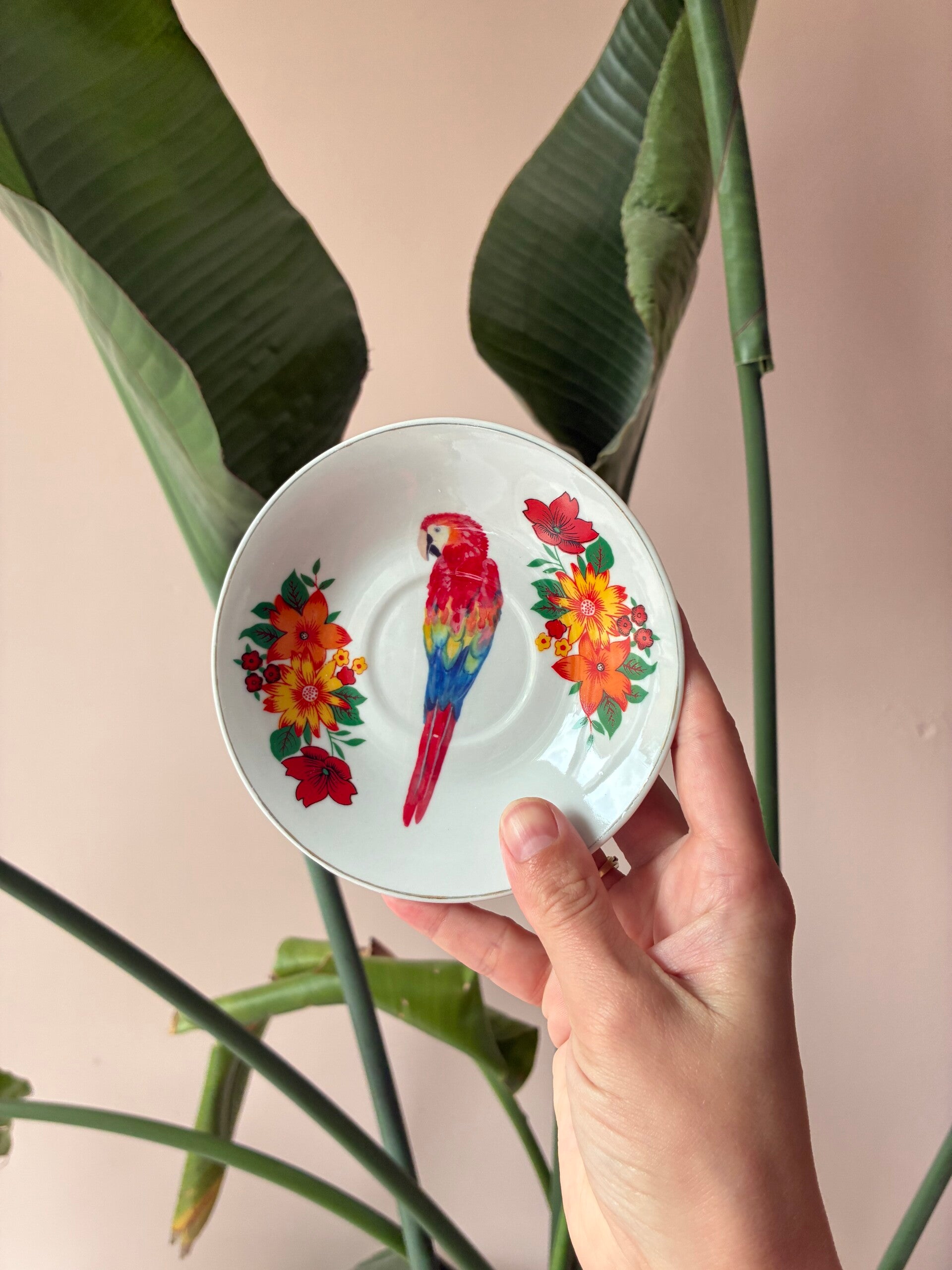 Wandbordje Papagaai 🦜