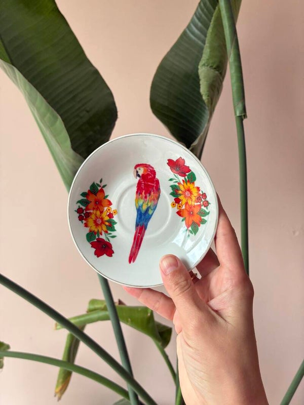 Wandbordje Papagaai 🦜