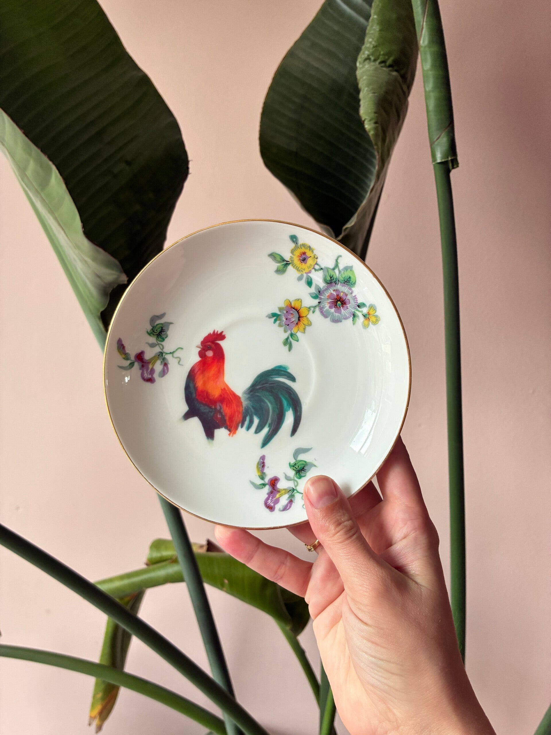 Wandbordje Haan 🐓