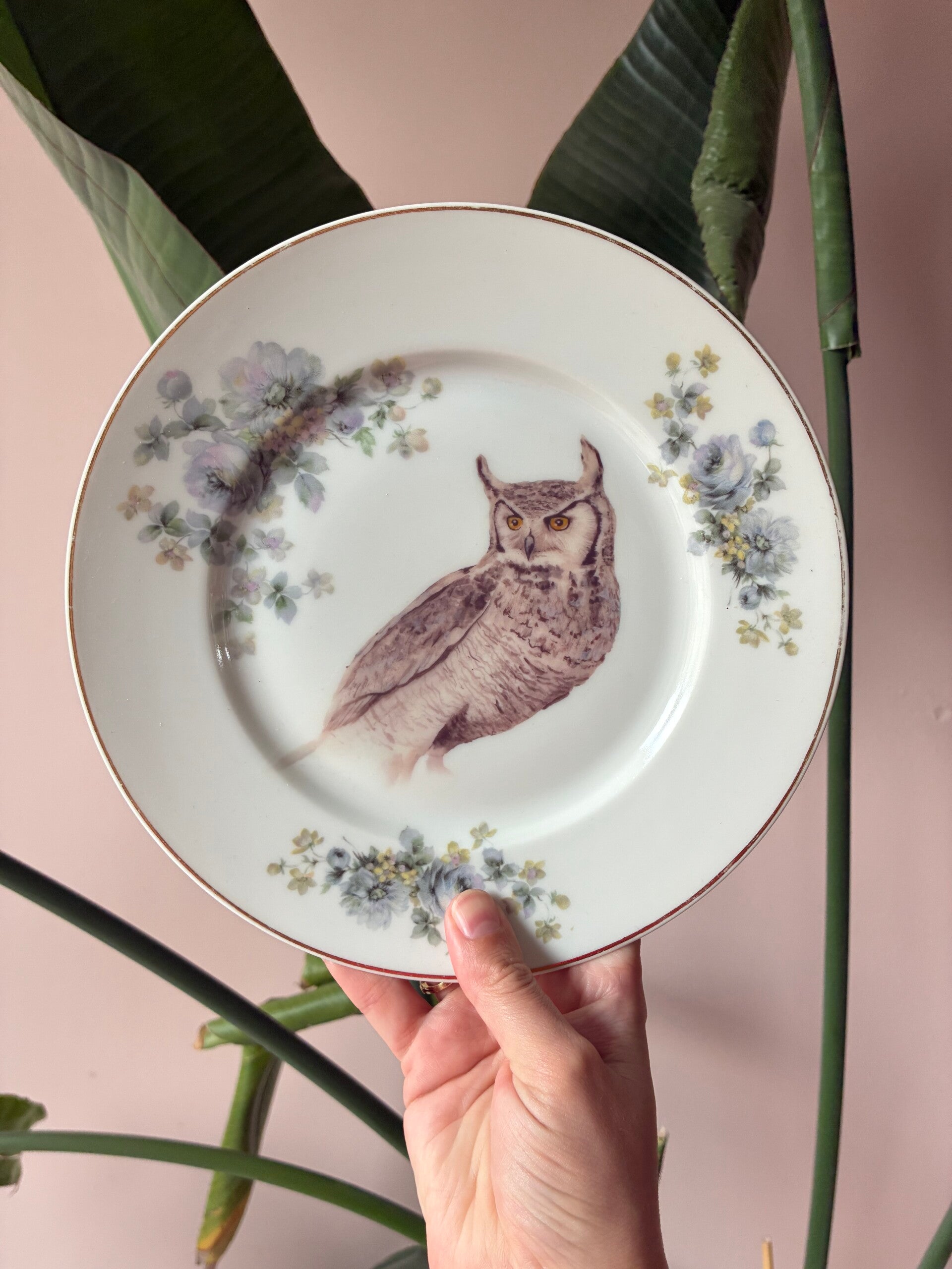 Wandbordje Uil 🦉