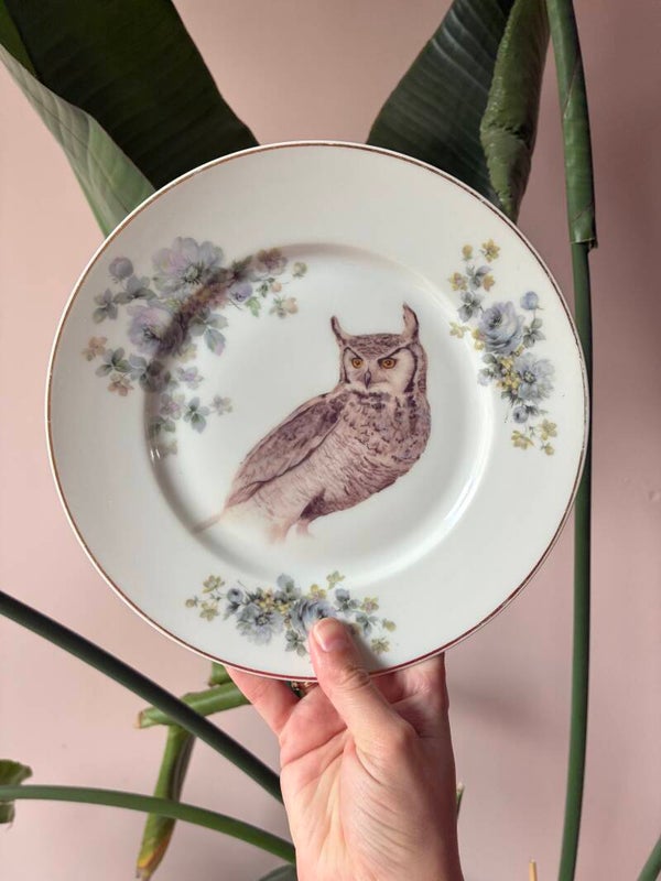 Wandbordje Uil 🦉