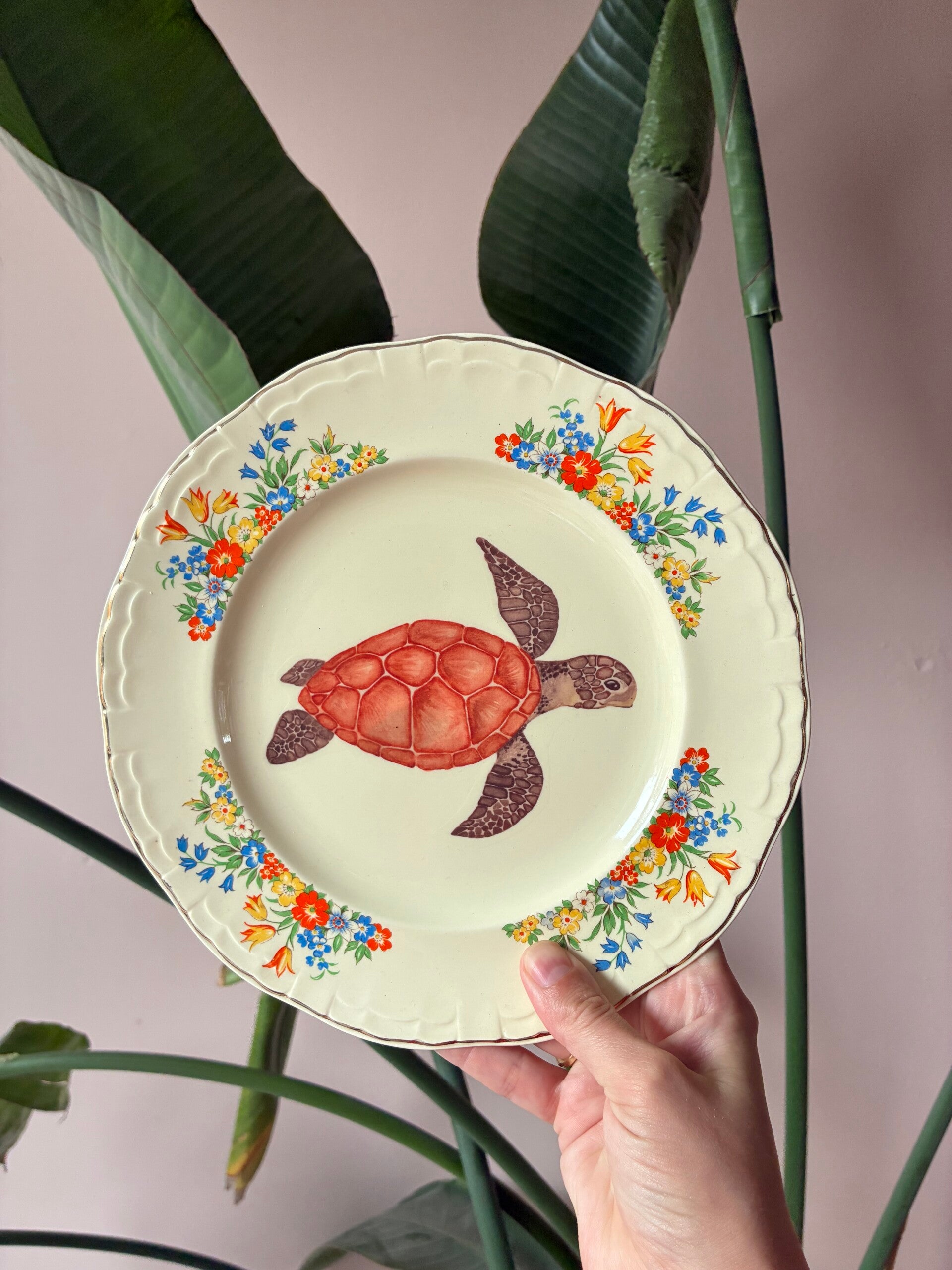 Wandbordje Schildpad 🐢