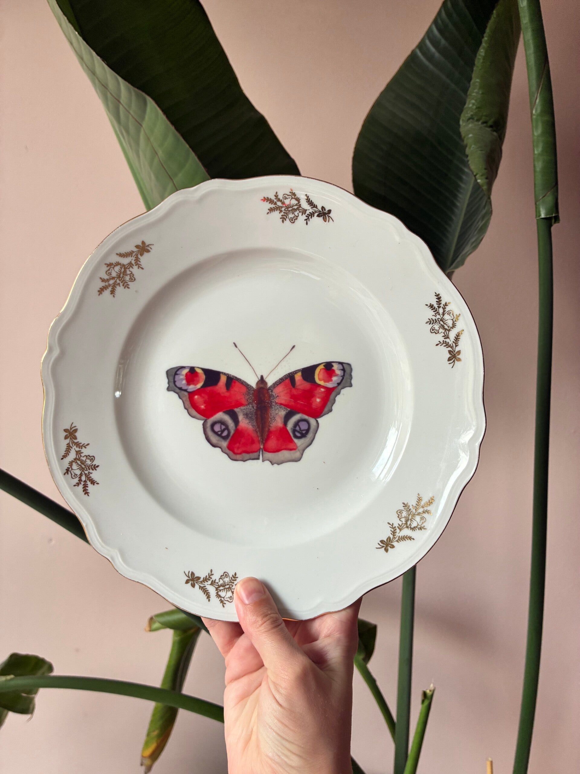 Wandbordje Vlinder 🦋