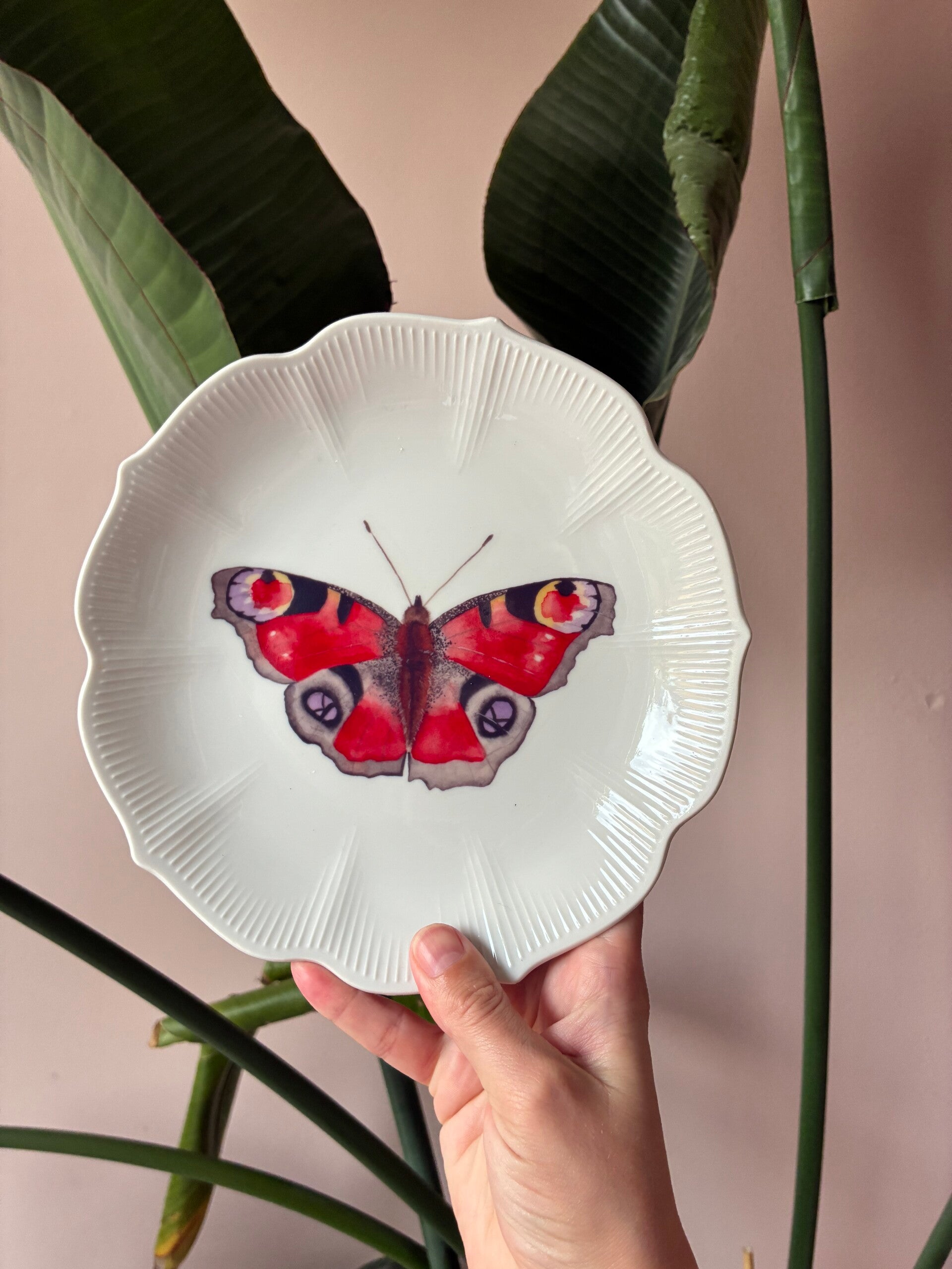 Wandbordje Vlinder 🦋