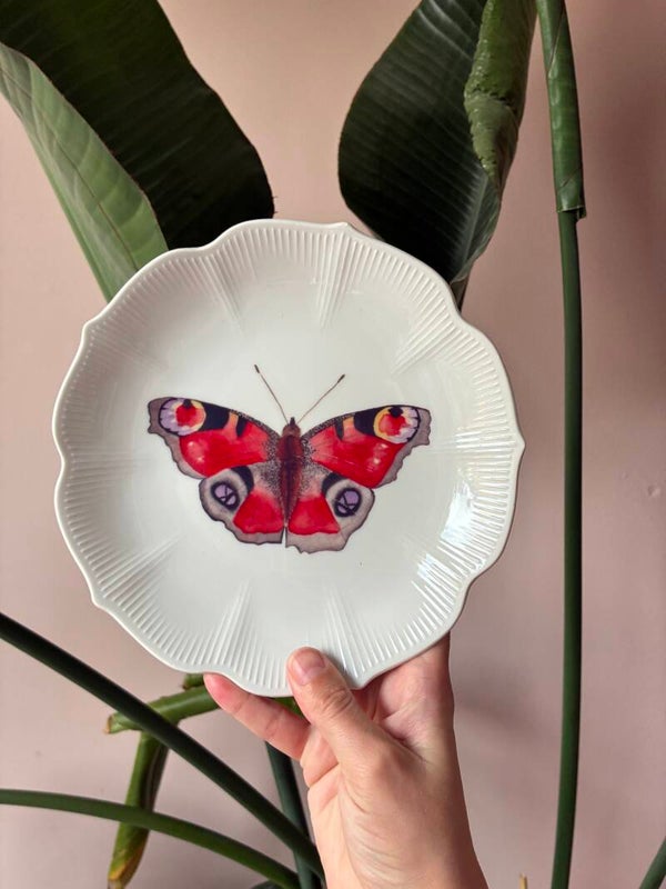 Wandbordje Vlinder 🦋