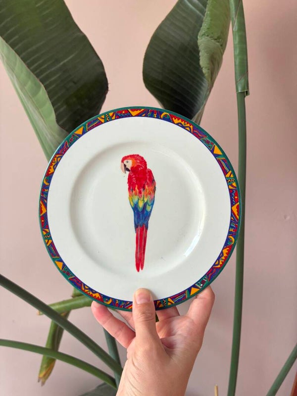 Wandbordje Papagaai 🦜