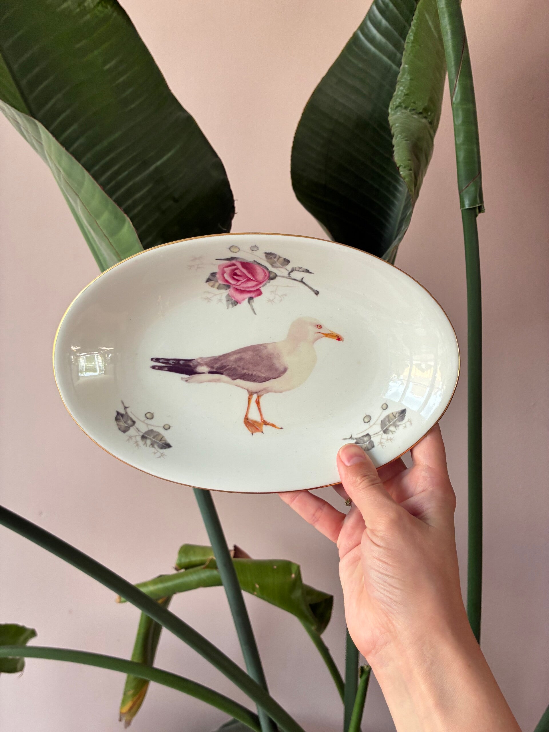 Wandbordje Meeuw 🐦