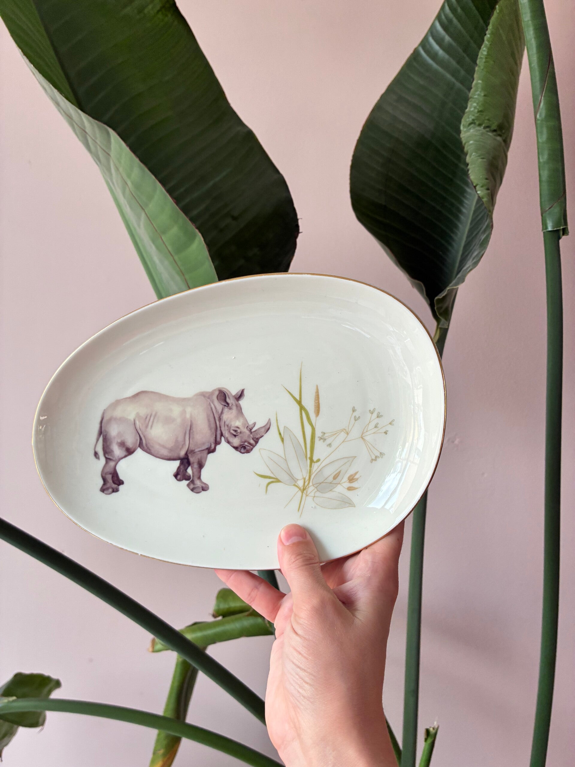 Wandbordje Neushoorn 🦏