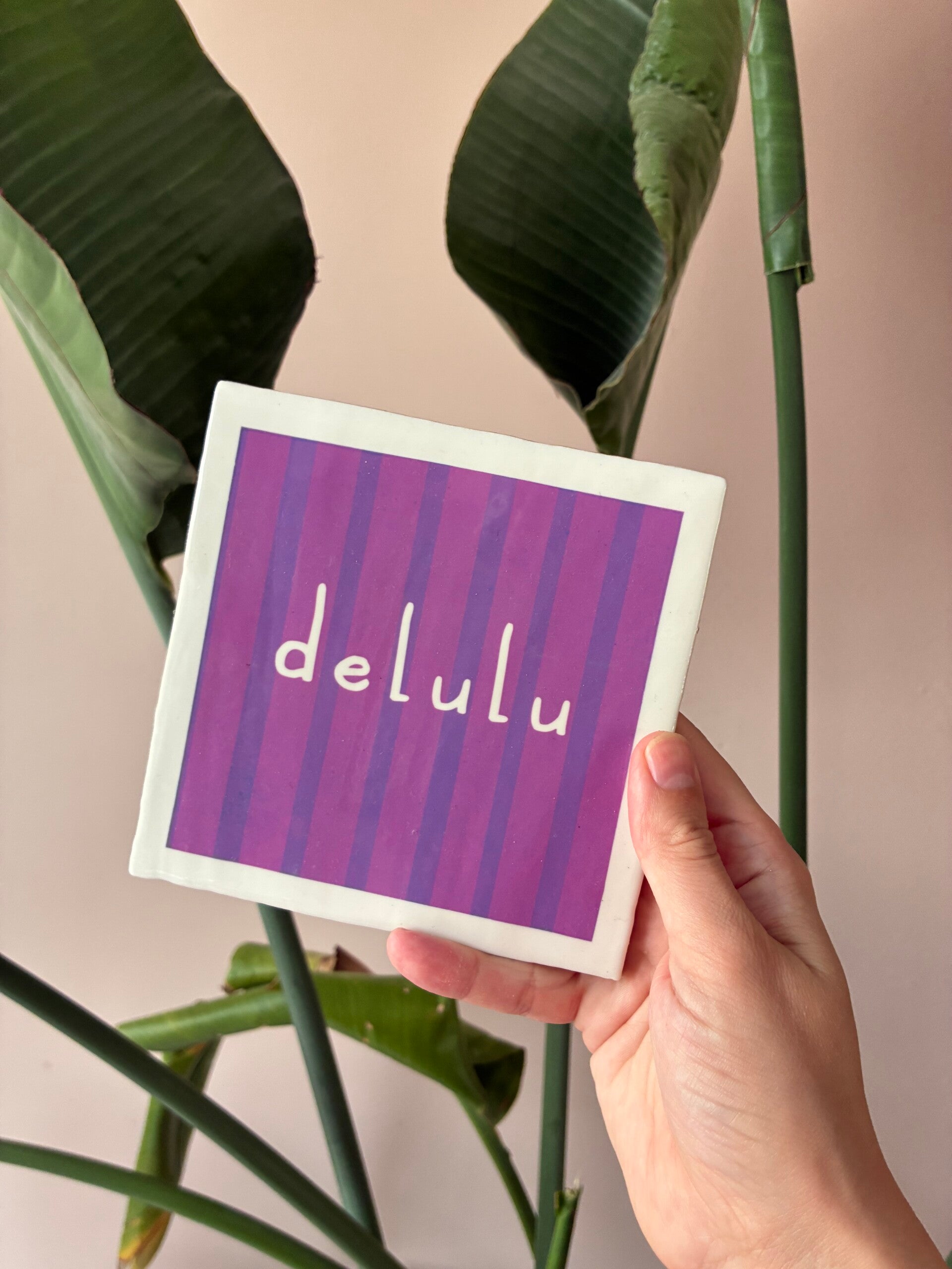 Tegeltje delulu 💜