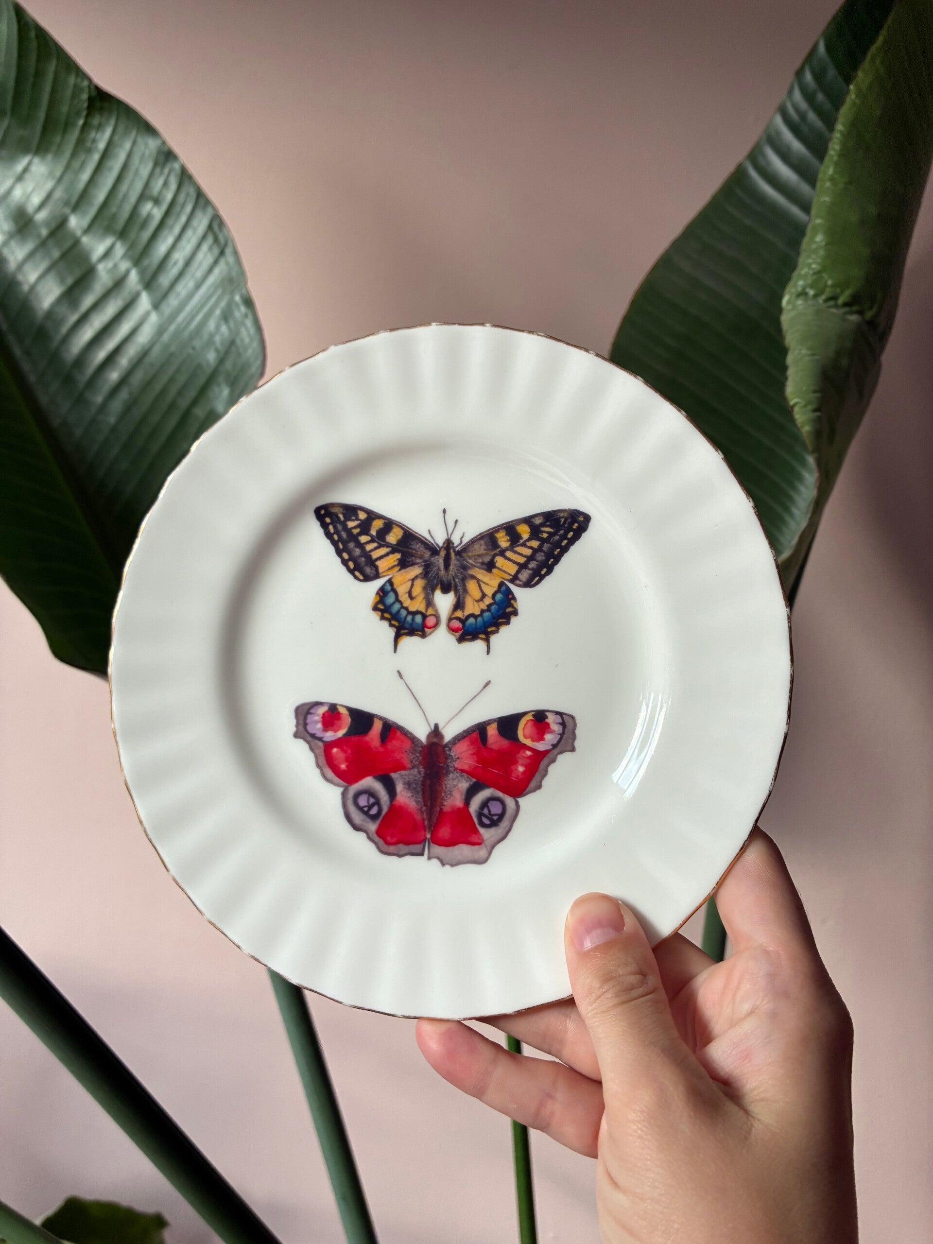Wandbordje Vlinders 🦋