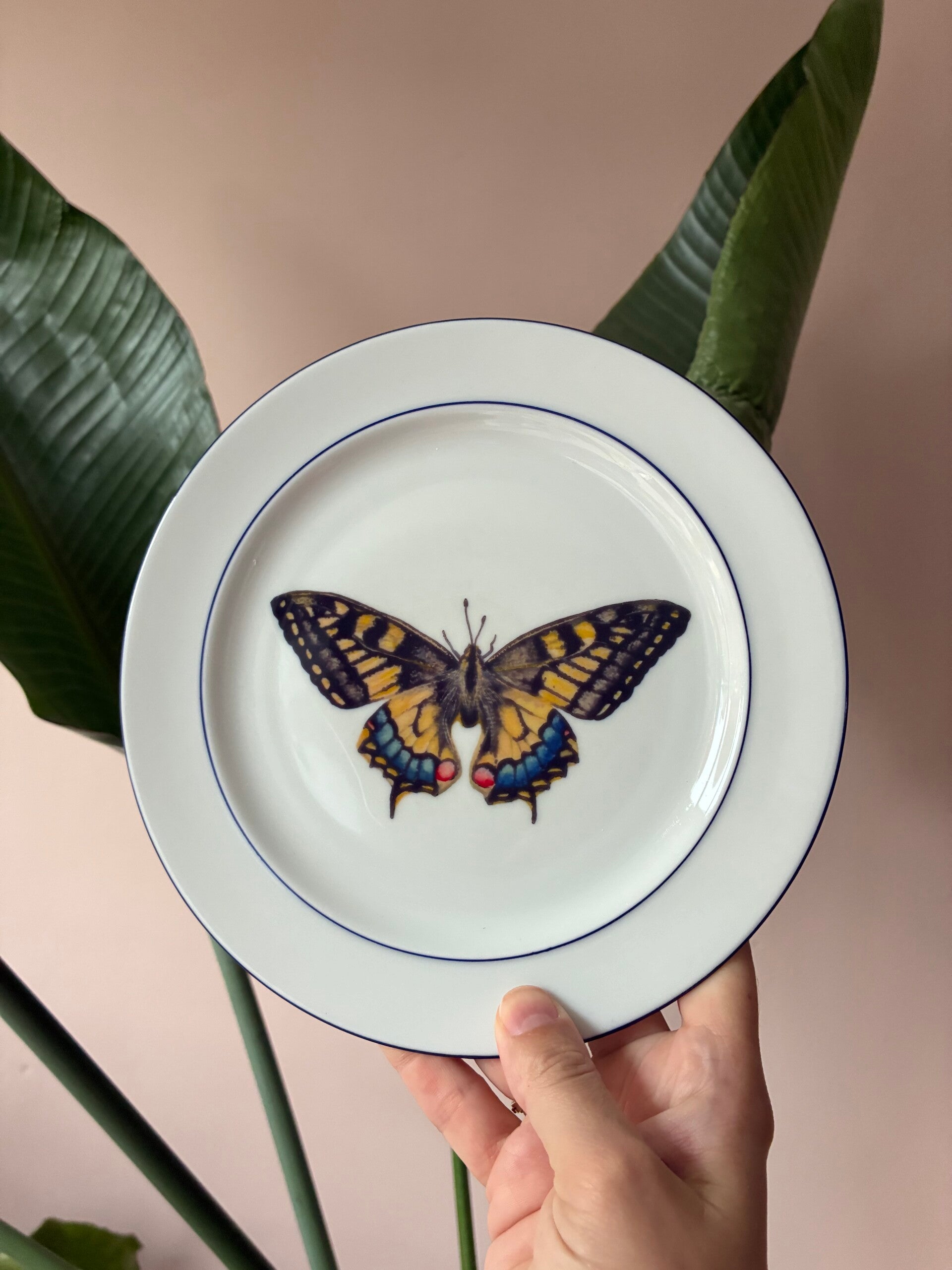 Wandbordje Vlinder 🦋