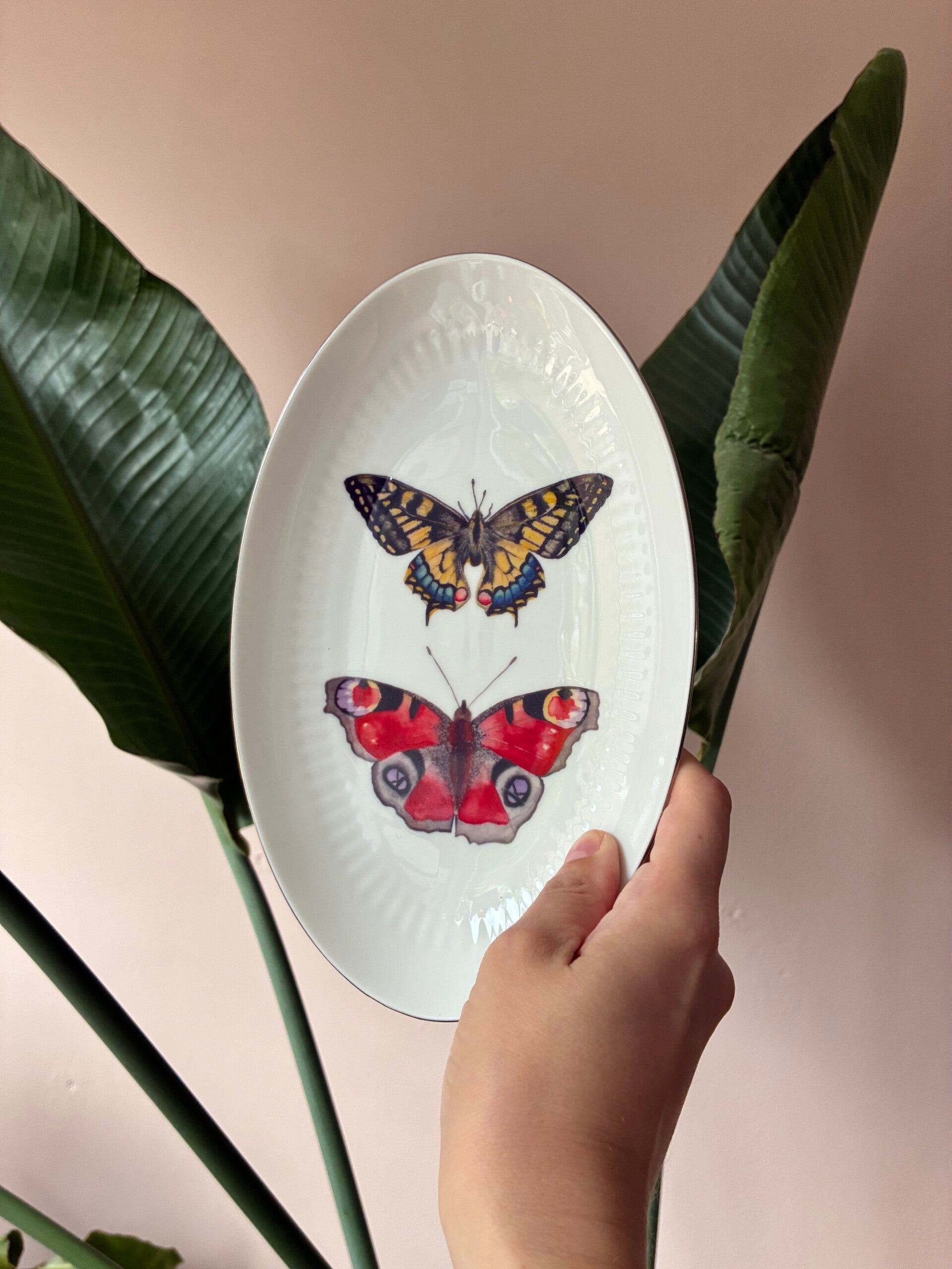 Wandbordje Vlinders 🦋