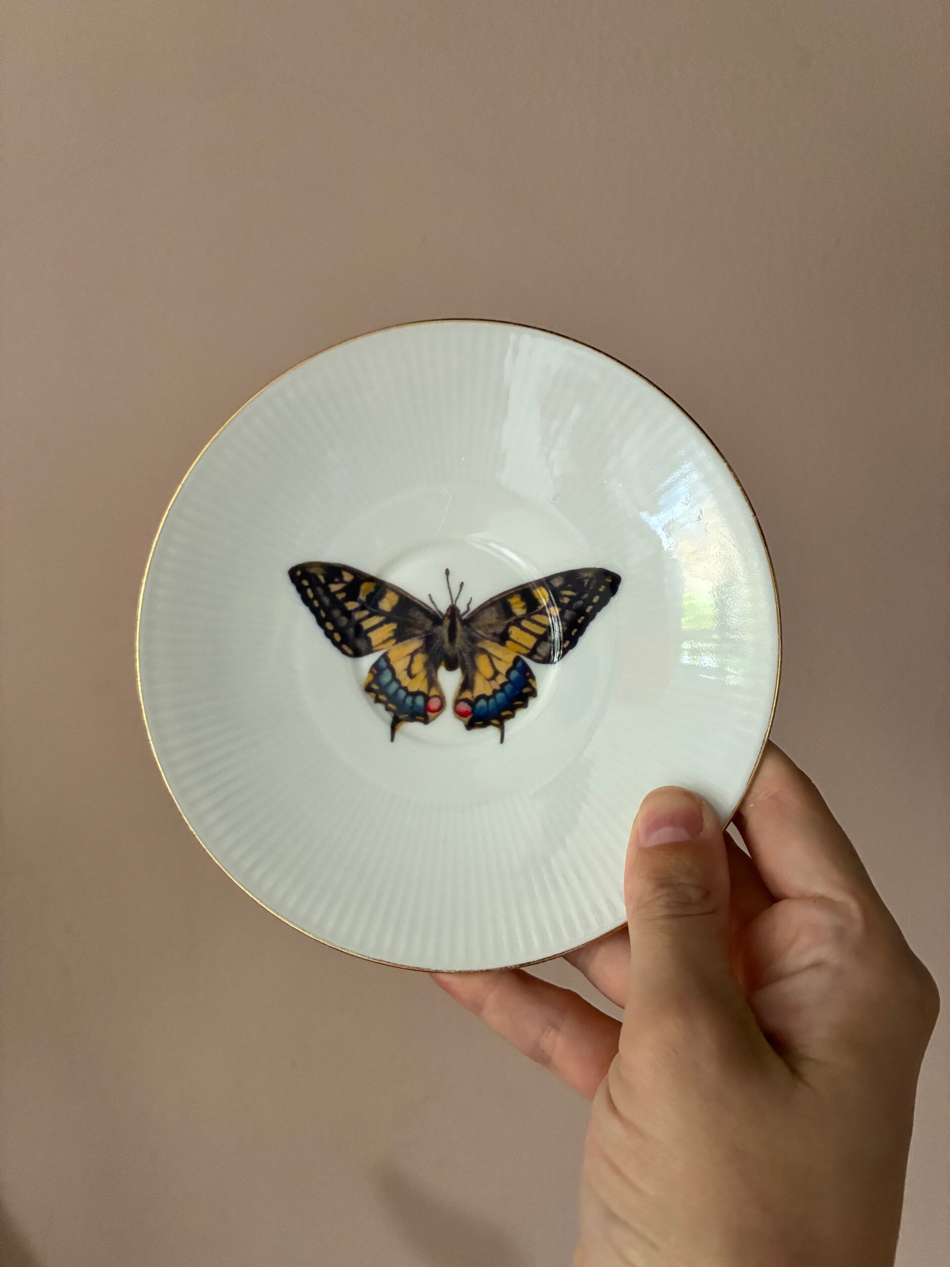 Wandbordje Vlinder 🦋