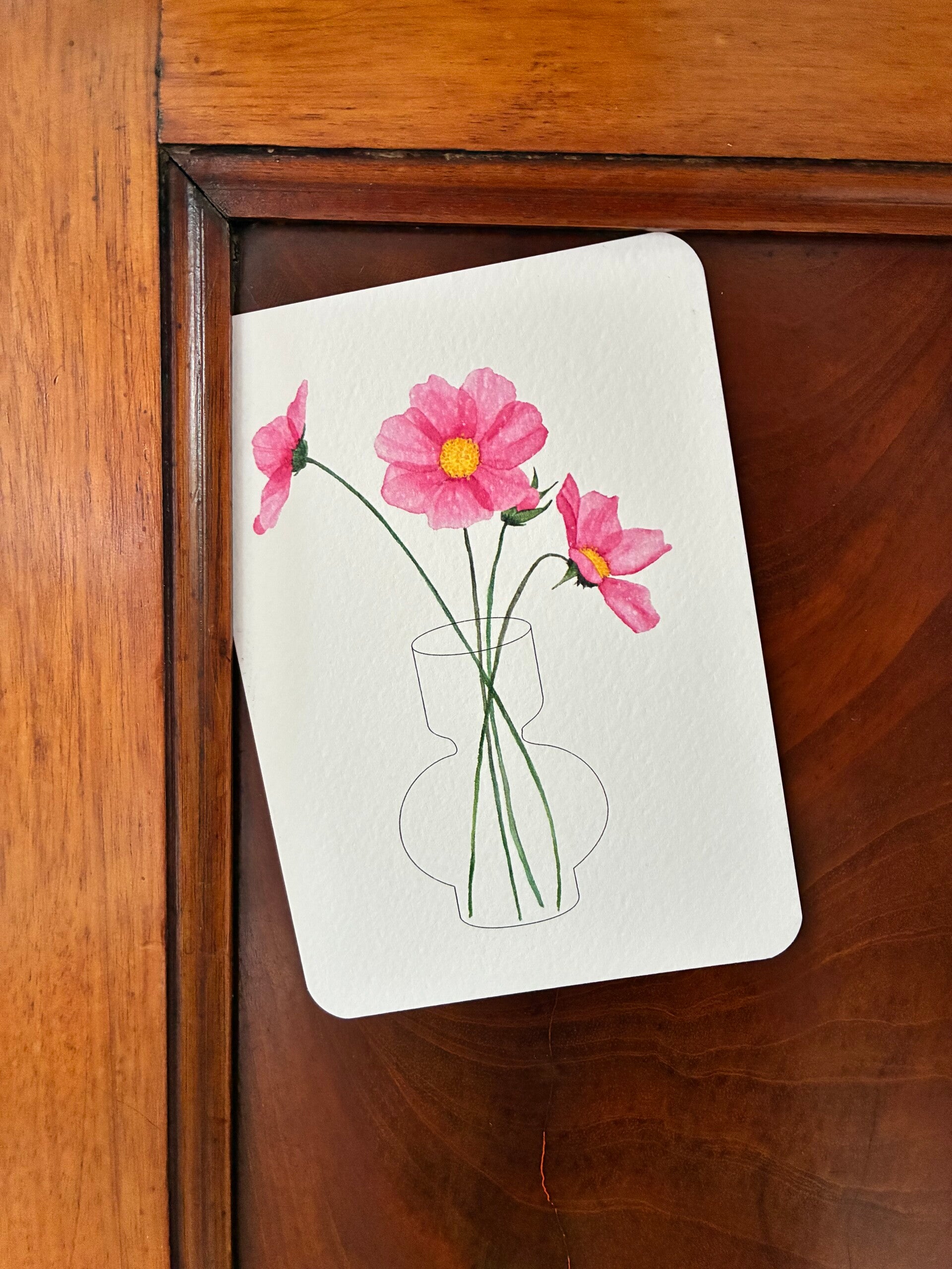 Ansichtkaart - Cosmea