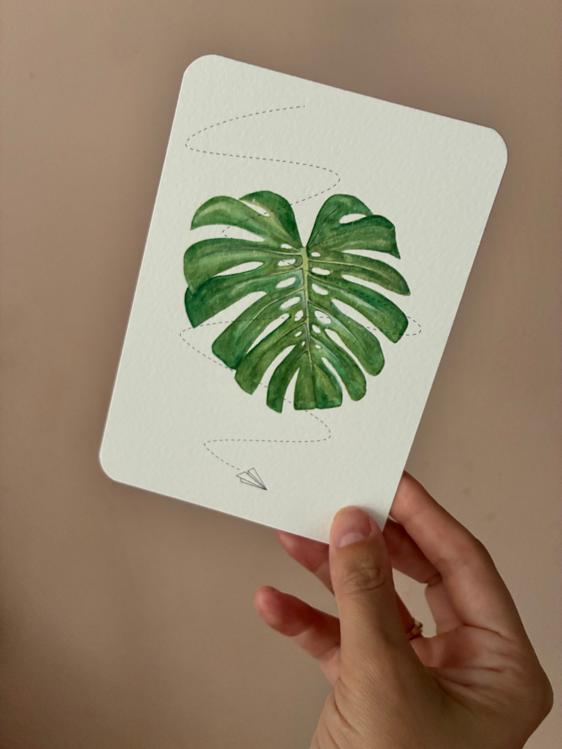 Ansichtkaart - Monstera 🌱