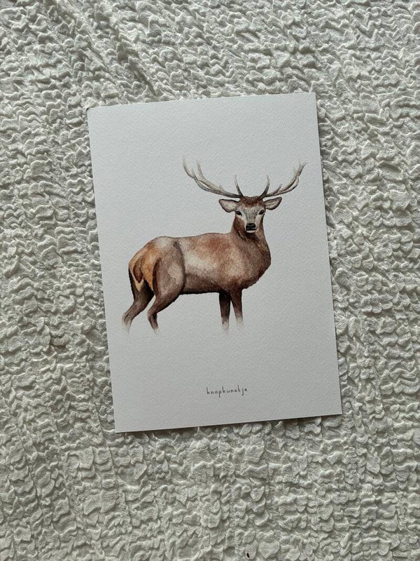 Poster Hert 🦌
