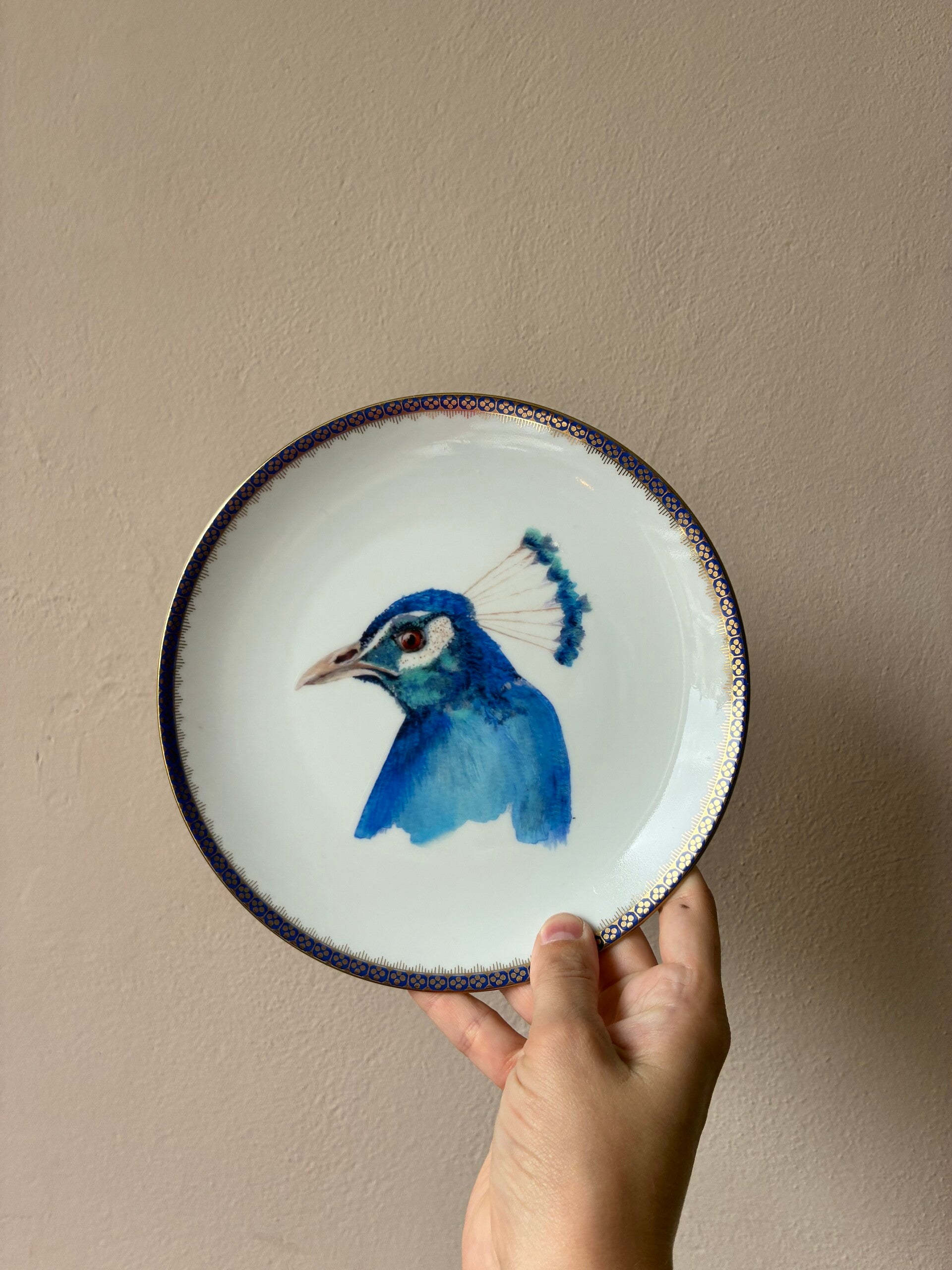 Wandbordje Pauw 🦚