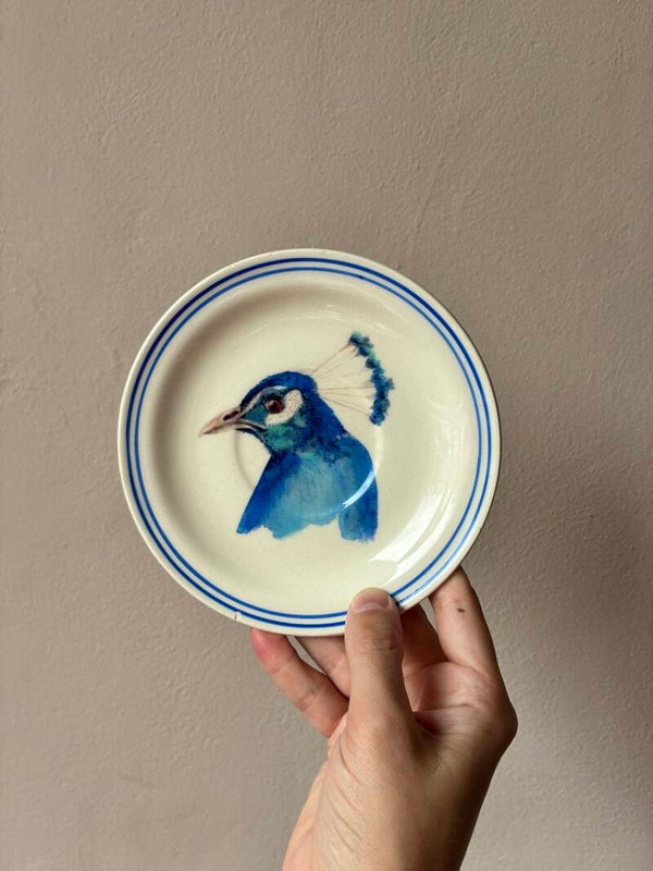 Wandbordje Pauw 🦚