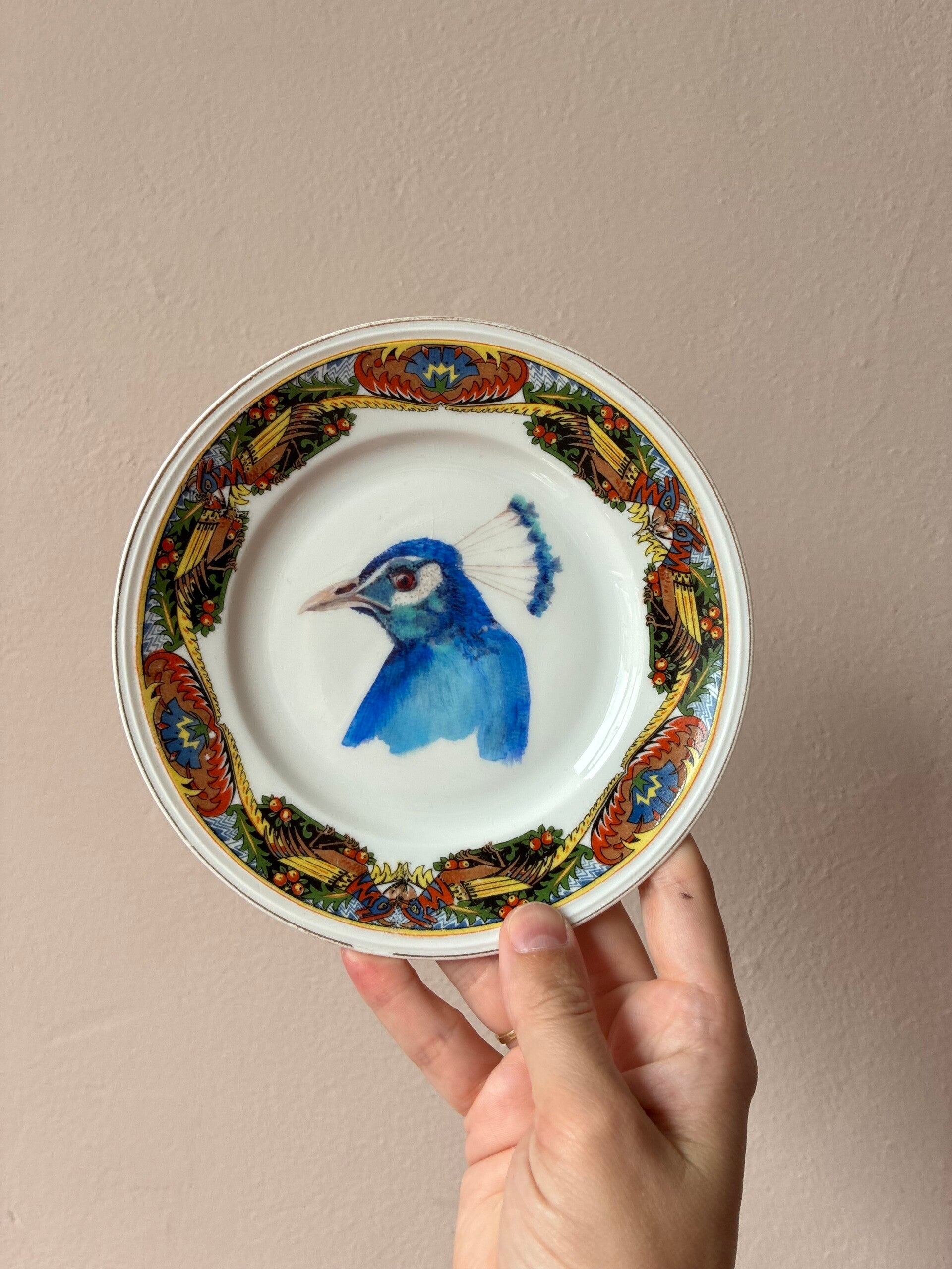 Wandbordje Pauw 🦚