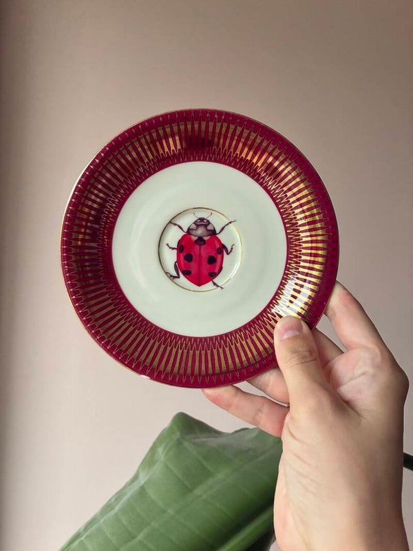 Wandbordje lieveheersbeestje 🐞