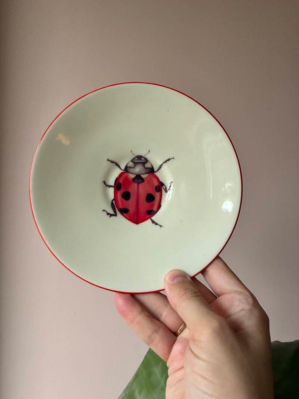 Wandbordje lieveheersbeestje 🐞
