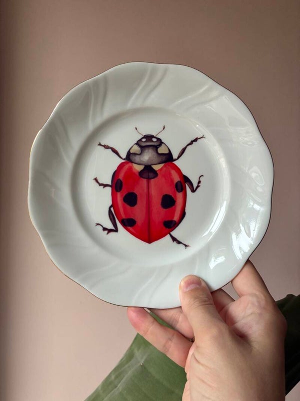 Wandbordje lieveheersbeestje 🐞