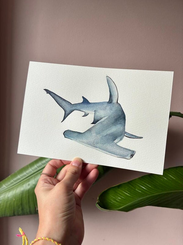 Originele Aquarel - Hamerhaai 🦈