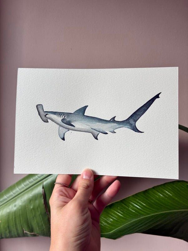 Originele Aquarel Hamerhaai 🦈
