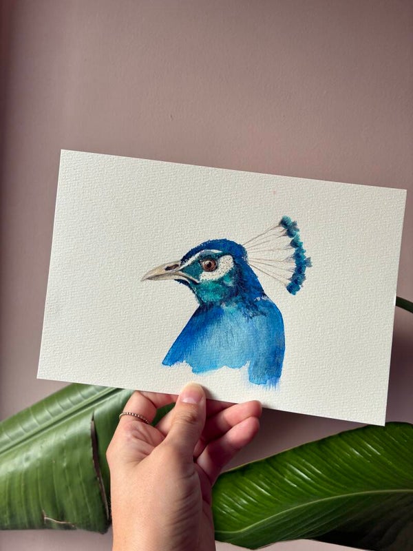 Originele Aquarel - Pauw 🦚