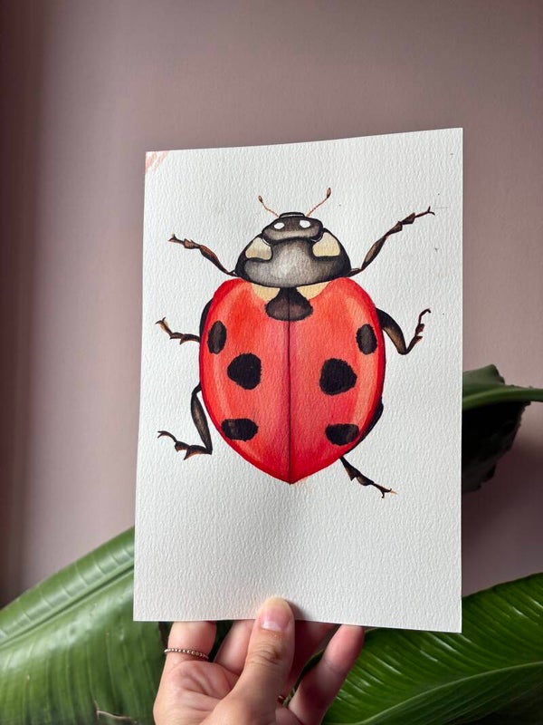 Originele aquarel - Lieveheersbeestje 🐞