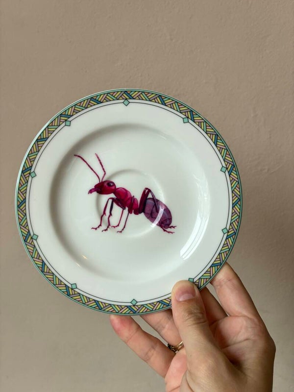 Wandbordje mier 🐜