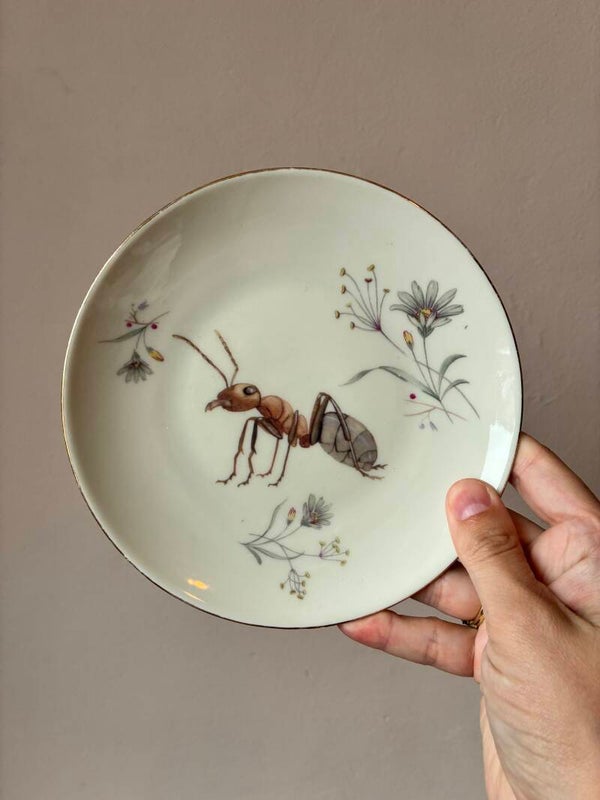 Wandbordje mier 🐜