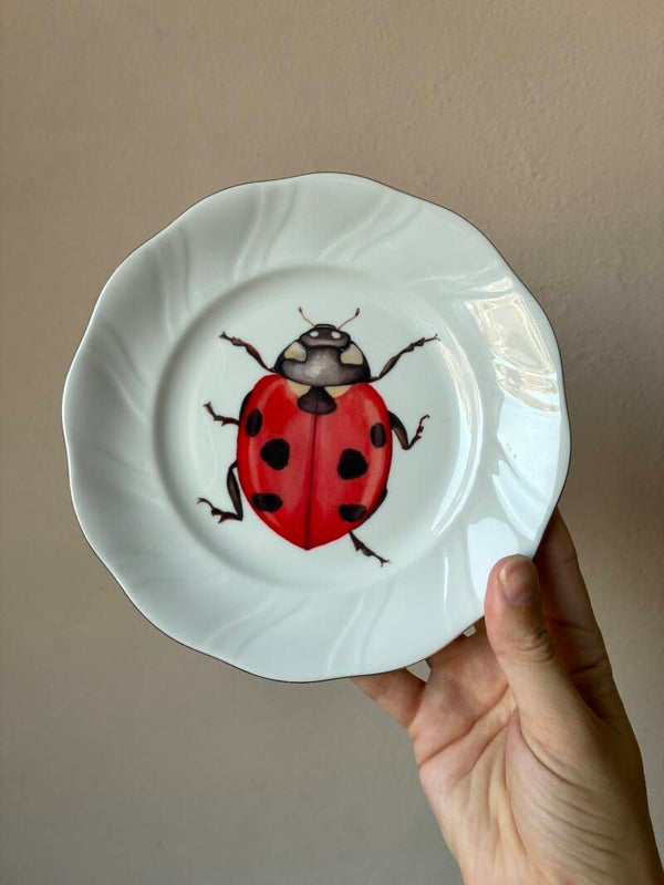 Wandbordje lieveheersbeestje o