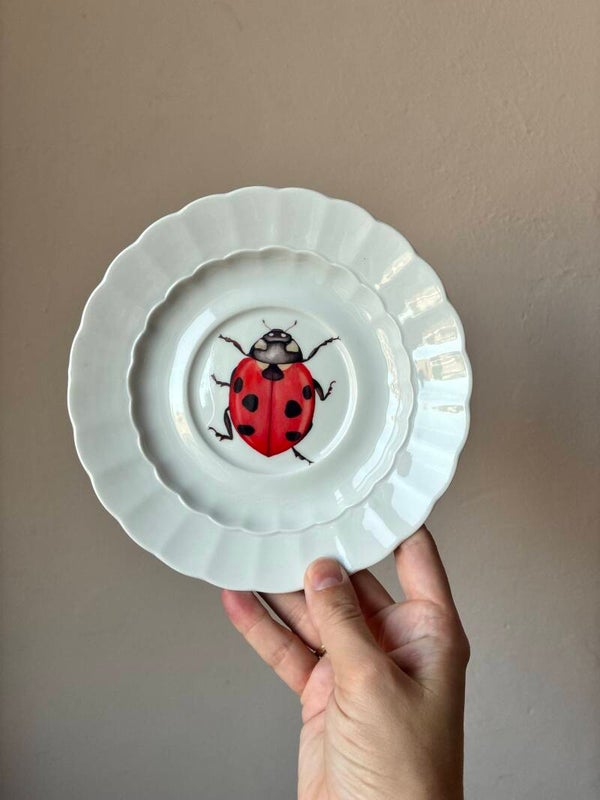 Wandbordje lieveheersbeestje 🐞