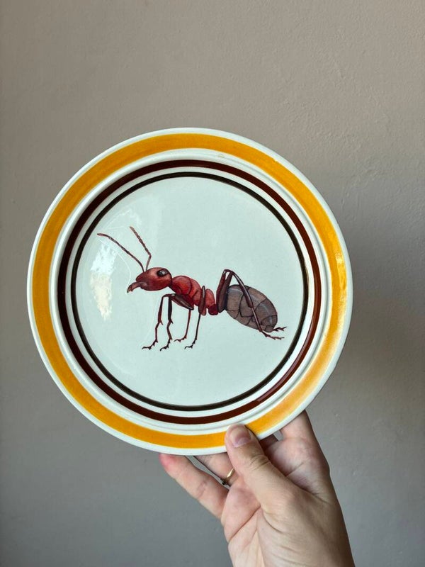 Wandbordje Mier 🐜