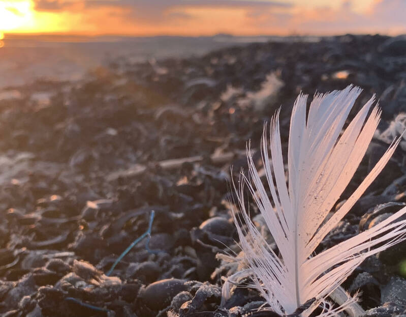 Strand, Veertjes, Strandrijden Terschelling, moonspirit, bewust van jezelf, natuur 