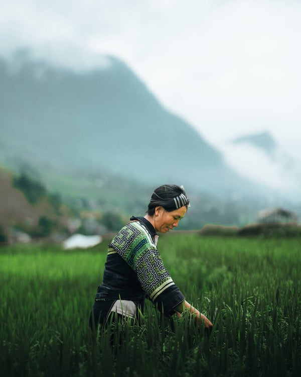 La Hmong dans les Rizières - Cadre Photo Gallery Bond