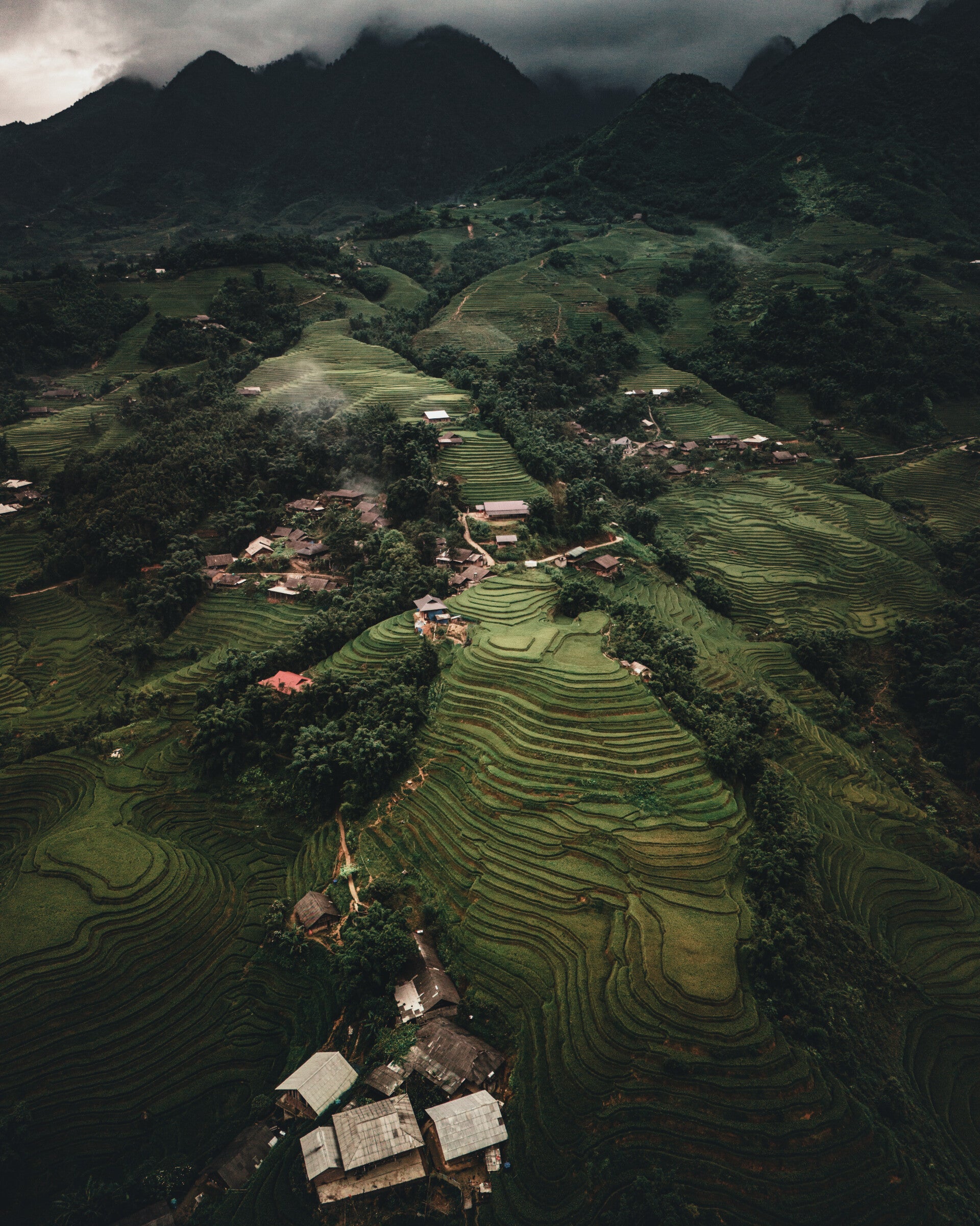 Rizières du Vietnam - Cadre Photo Gallery Bond