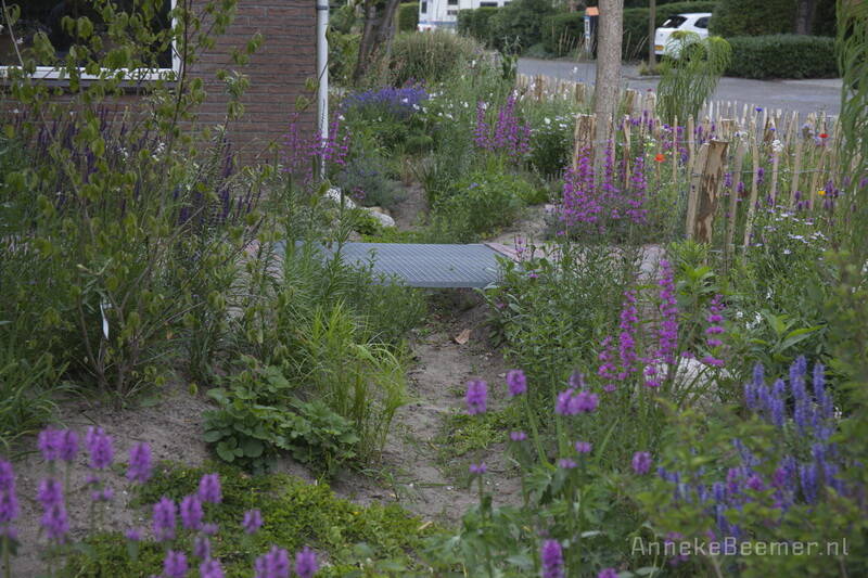 Klimaatbestendige voortuin met wadi in Hoogland. Ontwerp Anneke Beemer