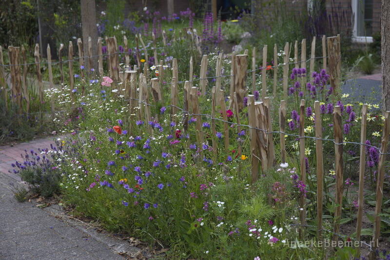 Klimaatbestendige voortuin met wadi in Hoogland. Ontwerp Anneke Beemer