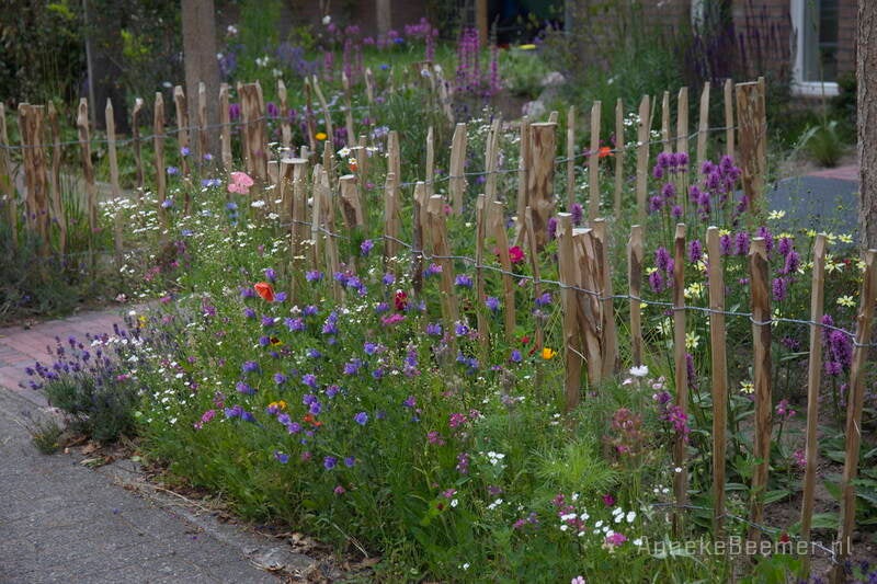 Voortuin met wadi in Hoogland Ontwerp Anneke Beemer