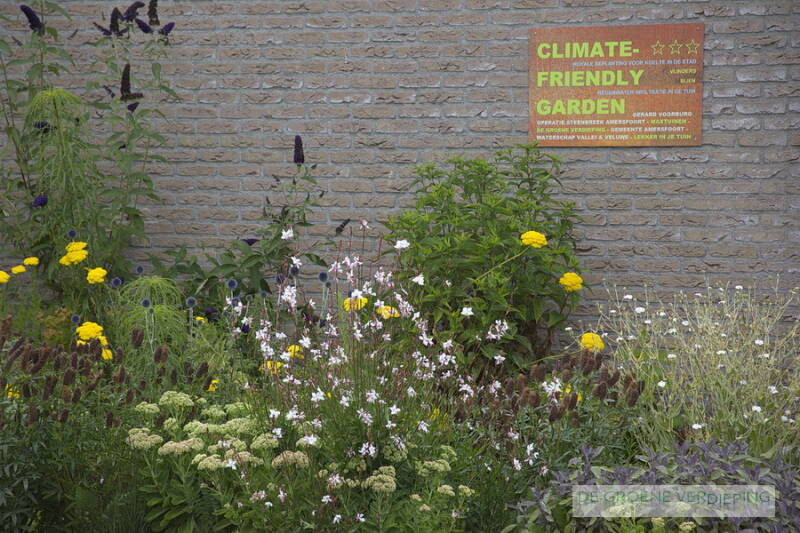 Klimaatvriendelijke tuin met wadi en insectenvriendelijke beplanting in Hoogland