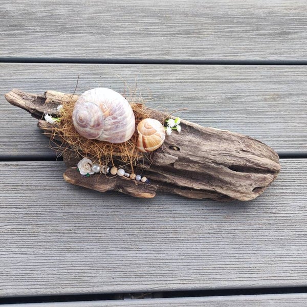 Schwemmholz mit Schneckenhaus und Perlen